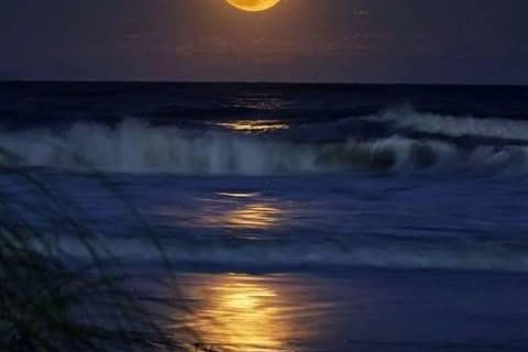 Moonlight