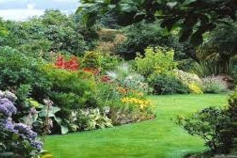 Summer Garden