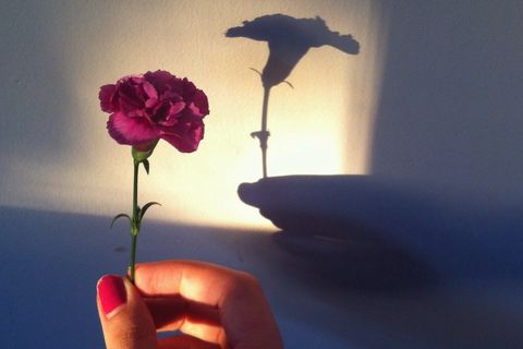 In Bloom