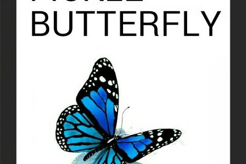 FICKLE BUTTERFLY