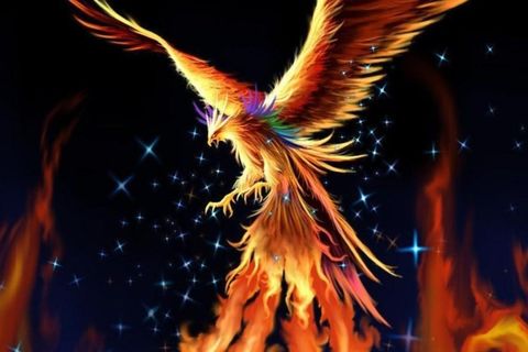 Phoenix full of fire 