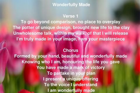Wonderfully Made 