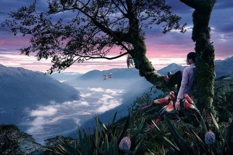 Imagination