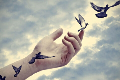 Letting Go 