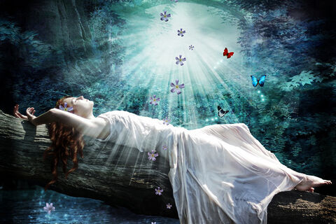 DREAMS 