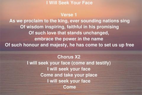 I Will Seek Your Face 