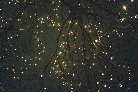 Shine a light