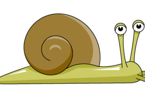 Professional snail Shelly (for the kids)