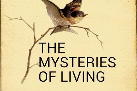 THE MYSTERIES OF LIVING