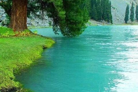 Love of everlasting  life