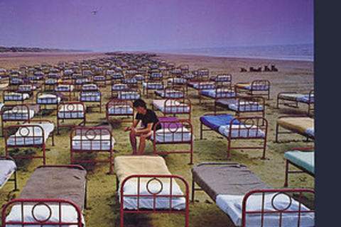 A Momentary Lapse