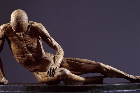 THESE BONES