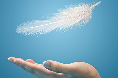Hark! A Feather of Angel Care"