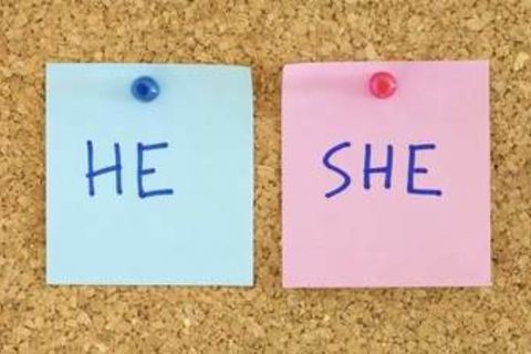 trans gender