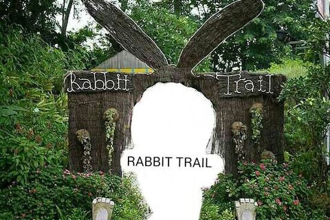RABBIT TRAIL