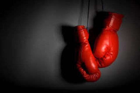The Fighter