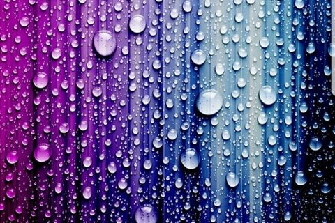 Raindrops