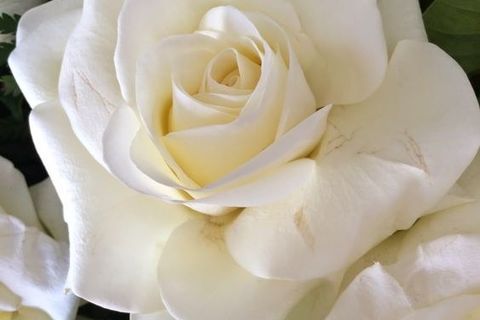 SO MANY TIMES OVER SO MANY YEARS