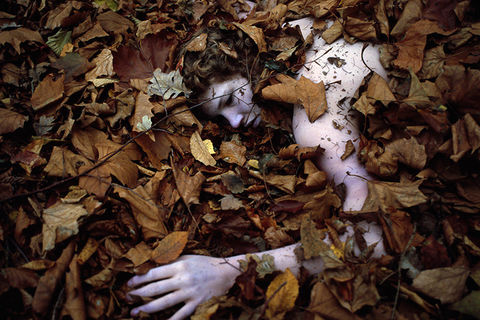 Autumn Shades of Death&quot;