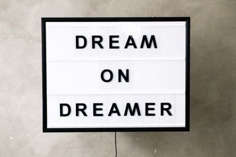 THE DREAMER 