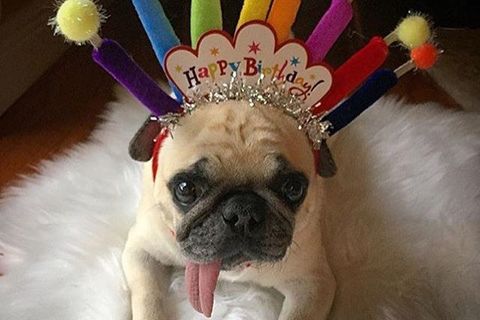 Birthday Boy 