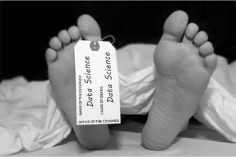 Dear dead 