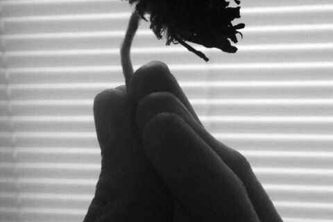 Counted Love 