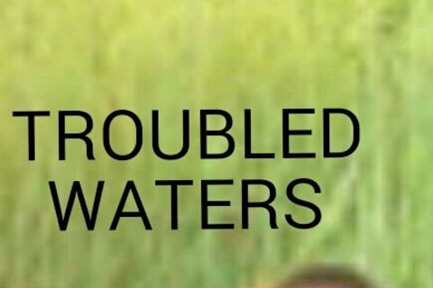 TROUBLED WATERS