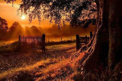 Like a place called home