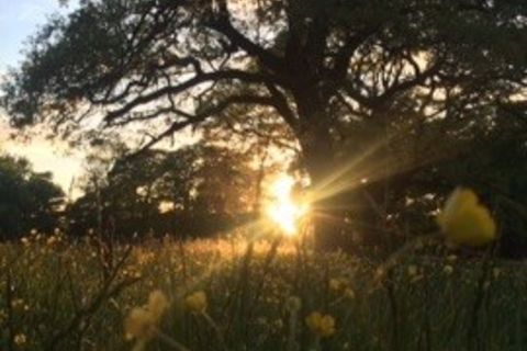 Life&#039;s Purpose 