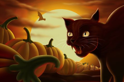 Once upon a Halloween&quot;