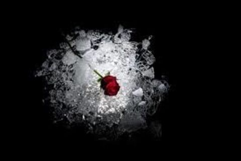 My Fatal Attraction