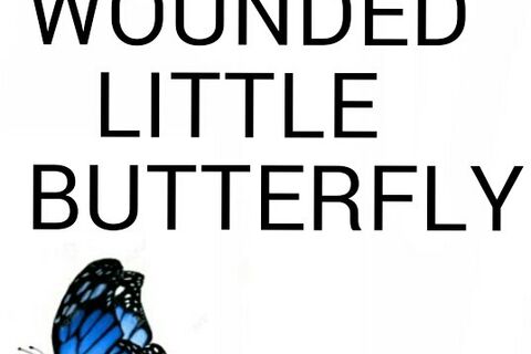 WOUNDED LITTLE BUTTERFLY