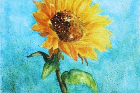 Williamsji Maveli writes, Sunflower Blossoms...