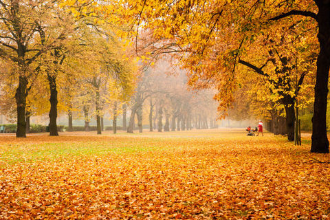 AUTUMN HAS ARRIVED