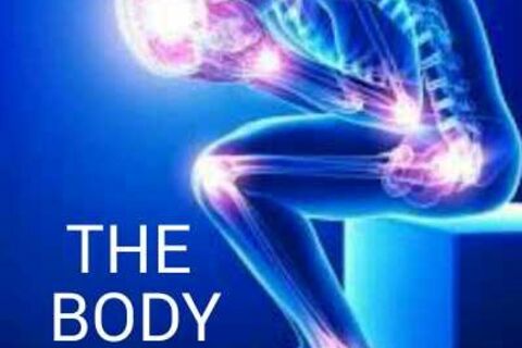THE BODY