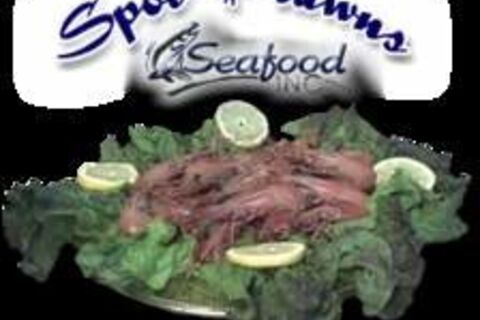 Colossol Shrimpness