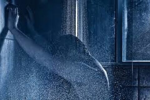 A shower&#039;s rain 