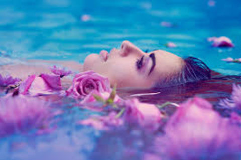 The Rose