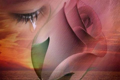 Love Beyond Wealth