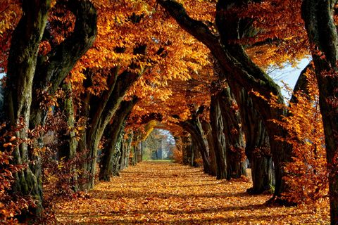 OCTOBER