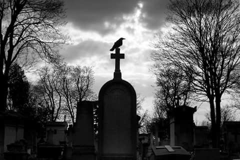 Ravens and Death