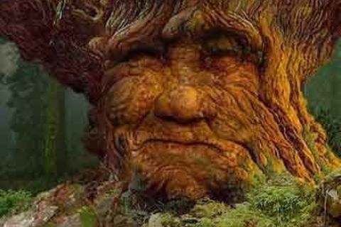 My Man ...The Tree