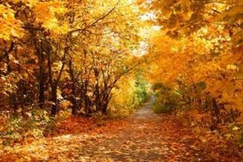 AUTUMN TIME