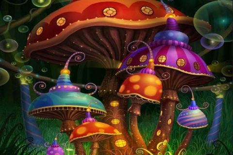 Magic Mushrooms