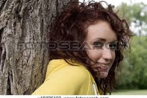 THE WILLOW TREE