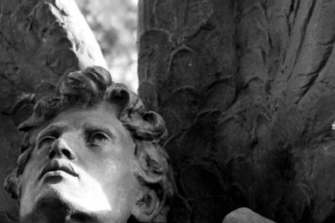 The Wings of an Angel