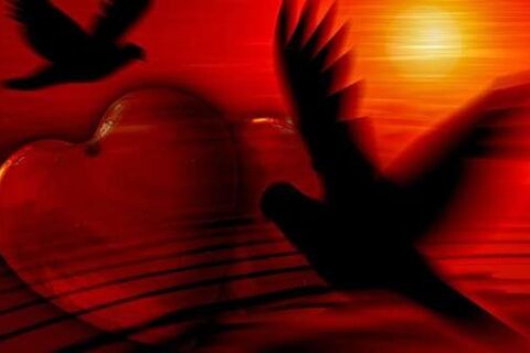 Soars The Heart