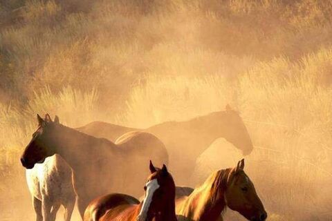 In seconds....Nonsense 111