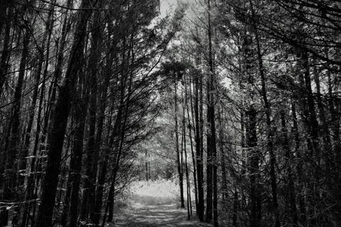 POETIC PATHS